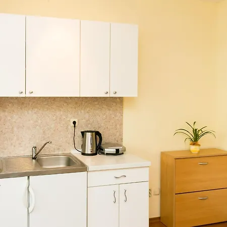 Radic - 2-3 Adults - Kneza Domagoja Street - Br 3 Apartamento Dubrovnik